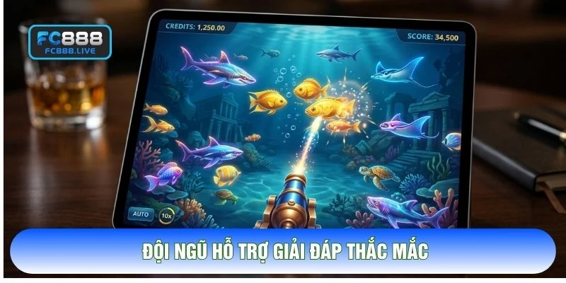 Đội ngũ hỗ trợ giải đáp thắc mắc