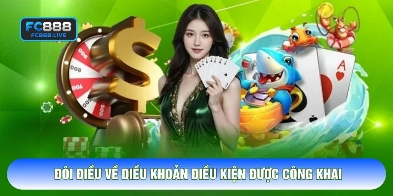 Đôi điều về điều khoản điều kiện được công khai